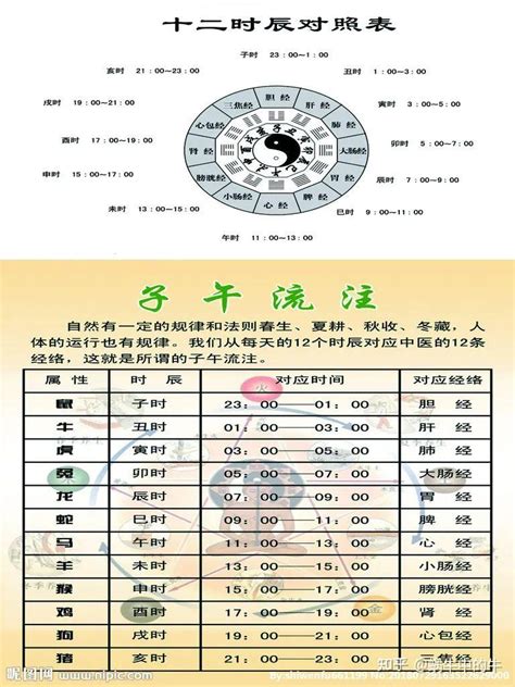 天干地支表查詢|天支對照表 干支紀年 干支換算